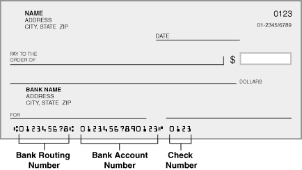 void cheque example